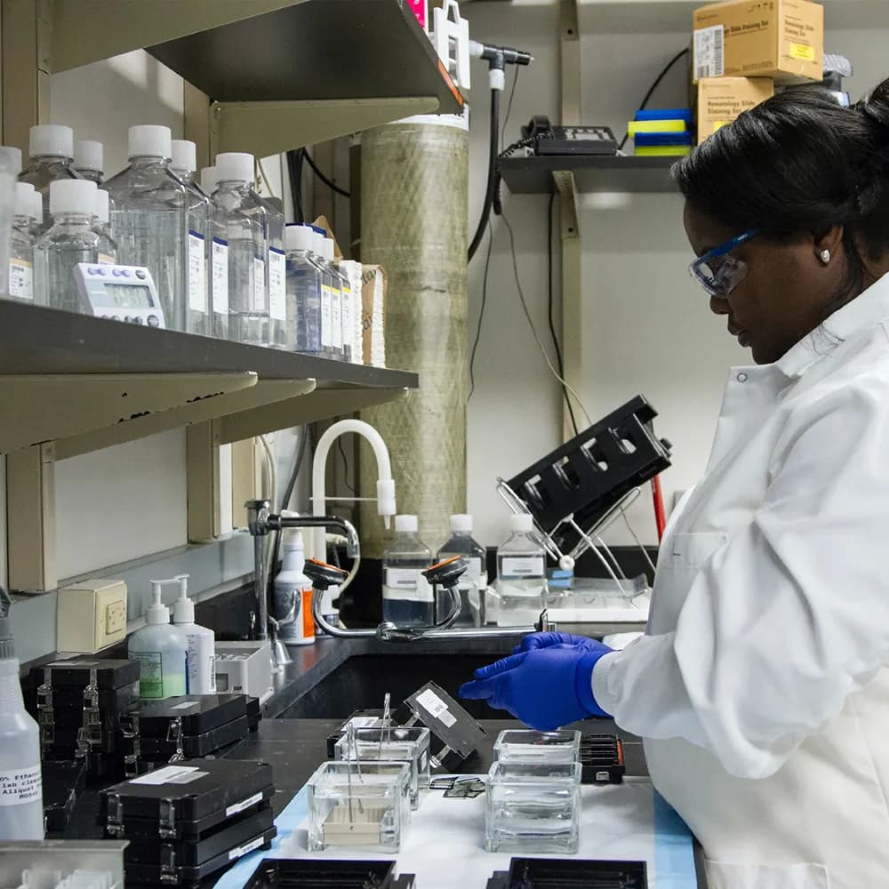 Laboratory staff